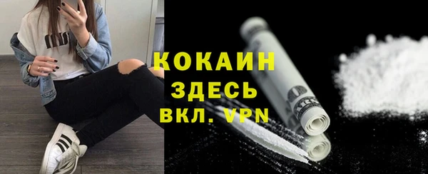 Альфа ПВП Бородино