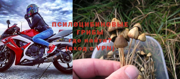 Альфа ПВП Бородино