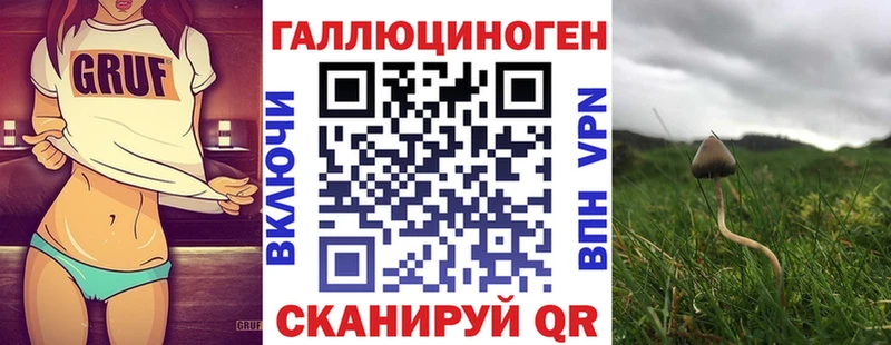 хочу   Верхняя Салда  кракен   Галлюциногенные грибы мухоморы 